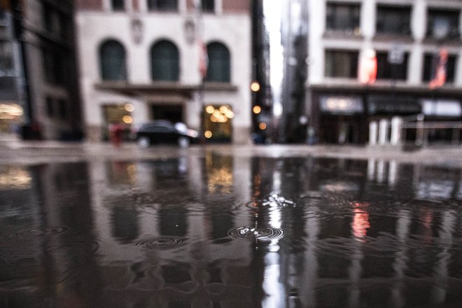 25666385622_8122007107_o